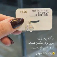 پلاک گل زیر ۲۰۰صوت