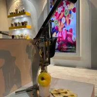 دستگاه خشک کن میوه هسته گیر اهرمی دستی تاوریس صنعت|ماشینآلات صنعتی|تبریز, |دیوار