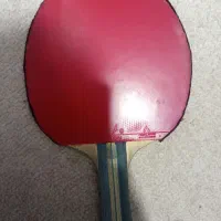 راکت پینگ پنگ|ورزش‌های توپی|خوی, |دیوار