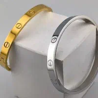 بدلیجات