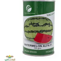 بذر هندوانه دراگون آلفا