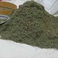 کهلیگ اوتی