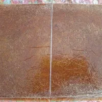 لواشک آلوچه شهمیرزاد