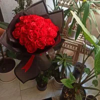 رز ربانی|گل مصنوعی|بجنورد, |دیوار