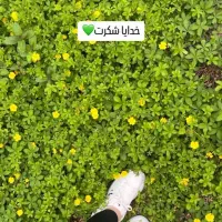 یه کیف چرم با دوتا کارت سوخت گم کردم