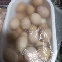 تخم مرغ محلی فیض آباد