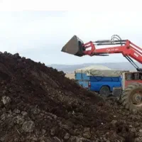 فروش کود حیوانی گاوی سوخته خشک