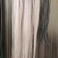 ۱۷۰ شاخه موی امبره