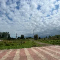 اجاره زمین کشاورزی