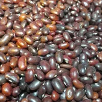 فروش لوبیا چیتی و قرمز کیفیت عالی پخت بی نظیر|خوردنی و آشامیدنی|اصفهان, جلفا|دیوار