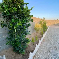 باغ-و-باغچه-188متری-با-لوکس-ترین-لوکشین