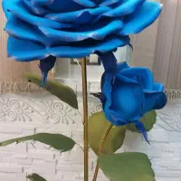 رز سالنی|صنایع دستی و سایر لوازم تزئینی|بروجرد, |دیوار