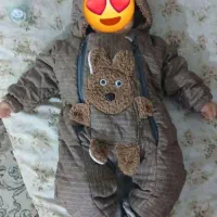 سرهمی توپشمی