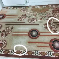 گلیم فرش|گلیم، جاجیم، گبه|قم, نوبهار|دیوار