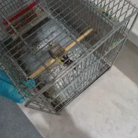 سهر.ه