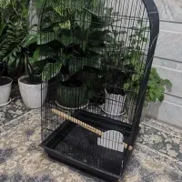 قفس لاکچری پرنده