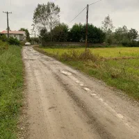 ۲۵۶متر مربع با کاربری مسکونی روستای اطراف پره سر|فروش زمین و ملک کلنگی|پره‌سر, |دیوار