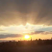 فروش زمین مسکونی نارجو