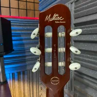 گودین multiac nylon encore|گیتار، بیس، امپلیفایر|شیراز, شهرک گلستان|دیوار