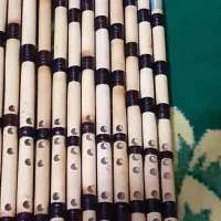 نی دومهر چکاوک