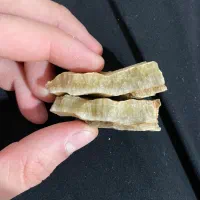 سنگ با رگه یشم