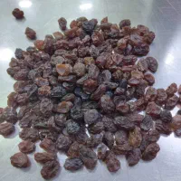 پخش عمده خشکبار و عطاری