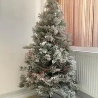 فروش درخت کریسمس