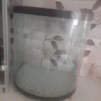 آکواریم|ماهی|مشهد, کارمندان دوم|دیوار