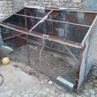 چخ کفتر بزرگ یا آغل مرغ