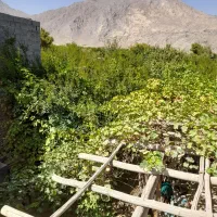 اجاره خانه باغ