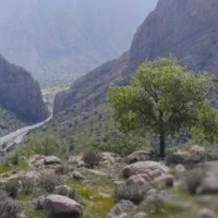 زمین جا عدسی