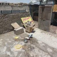 گم شده