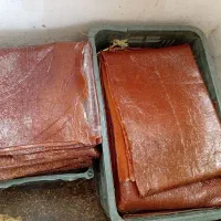 لواشک آلو قطره در ساحل برج