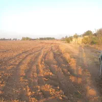 فروش زمین کشاورزی آبی|فروش دفتر صنعتی، کشاورزی، تجاری|بهار, |دیوار