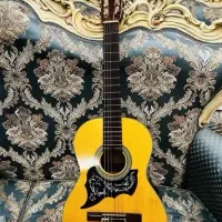 گیتار آریا AK30