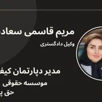 وکیل متخصص و حرفه ای