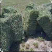 یونجه انباری|عمدهفروشی|دشتابی, |دیوار