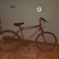 دوچرخه 26 ویوا