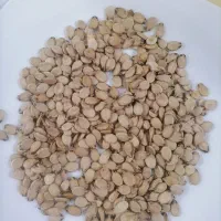 تخمه هندونه مغز پر