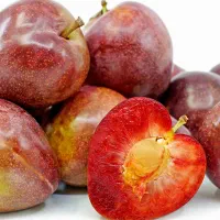 نهال آلو خاکی توسرخ