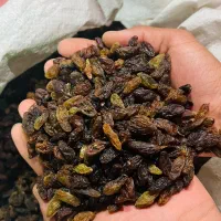 پخش مویز و کشمش آفتابی