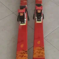 چوب اسکی آلپاین