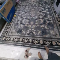 فرش ۱۲ متری ۱۲۰۰ شانه تراکم ۳۶۰۰