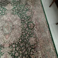 فرش ۱۲۰۰شانه|فرش|مشهد, کوی المهدی|دیوار