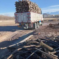 خریدوفروش انواع چوب