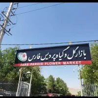 استخدام نیرو