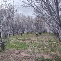 باغ|فروش زمین و ملک کلنگی|خسروشاه, |دیوار