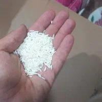 برنج هاشمی برقی مستقیم از شالیکوبی جعفر آباد رشت|خوردنی و آشامیدنی|تبریز, |دیوار