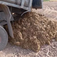 اسکانیا|خدمات باغبانی و درختکاری|خوی, |دیوار