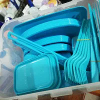 ظرف مسافرتی